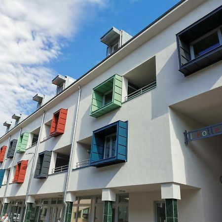 Antracit Apartman - Free Parking 佩奇 外观 照片